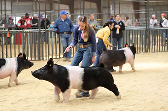 Grand 2023 Medina County Fair