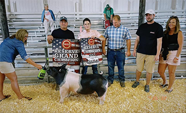 Overall Reserve Champion 2022 Lenawee County Fair