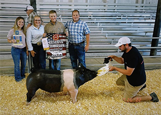 Reserve Barrow 2022 Lewanee County Fair