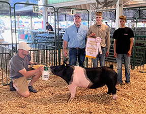 Reserve Gilt 2022 MonroeCounty Fair
