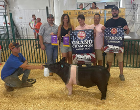 Reserve Barrow Monroe County Fair