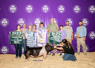 Reserve Barrow Monroe County Fair