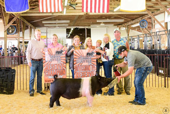 Reserve Barrow Monroe County Fair