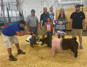 Reserve Barrow Monroe County Fair